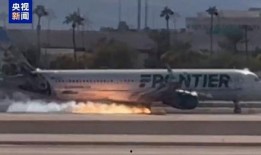 飞机坠落最新爆料视频,细节令人震惊